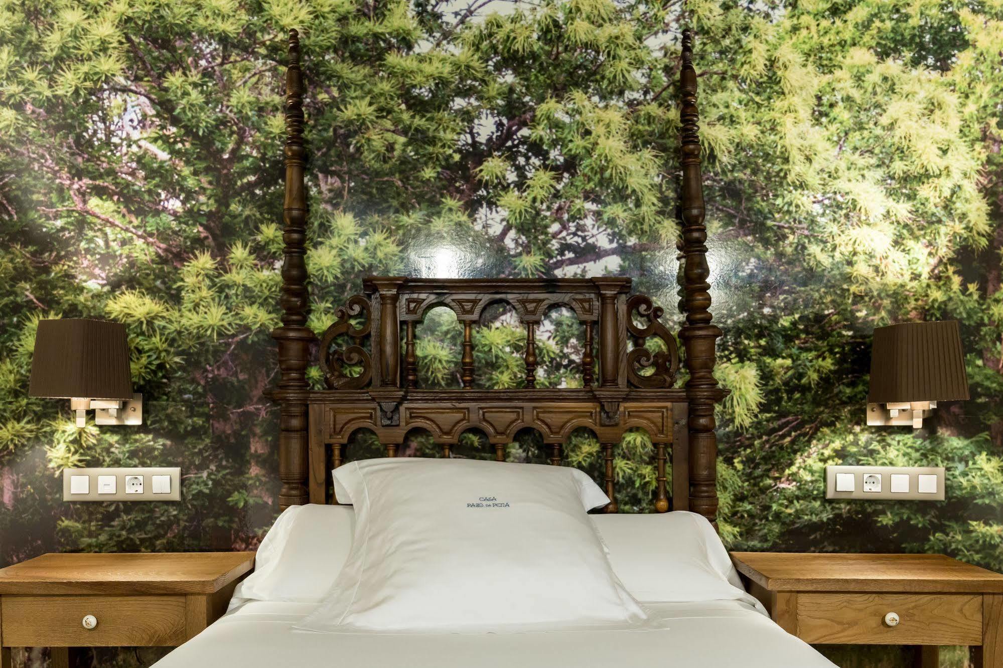 Pazo Da Pena Manzaneda Hotel Ngoại thất bức ảnh